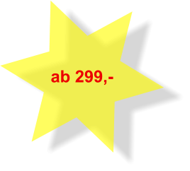 ab 299,-